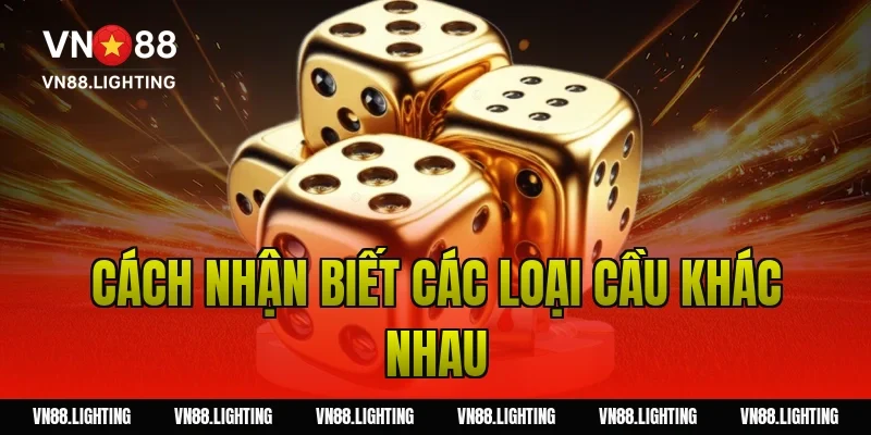 Cách Nhận Biết Các Loại Cầu Khác Nhau
